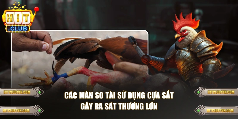 Các màn so tài sử dụng cựa sắt gây ra sát thương lớn