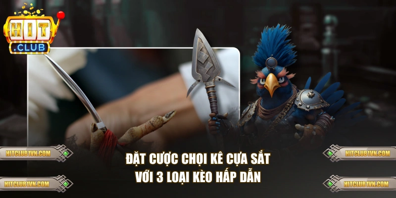 Đặt cược chọi kê cựa sắt với 3 loại kèo hấp dẫn