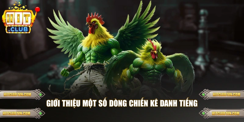 Giới thiệu một số dòng chiến kê danh tiếng