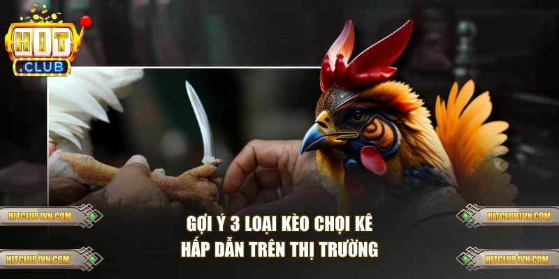Gợi ý 3 loại kèo chọi kê hấp dẫn trên thị trường