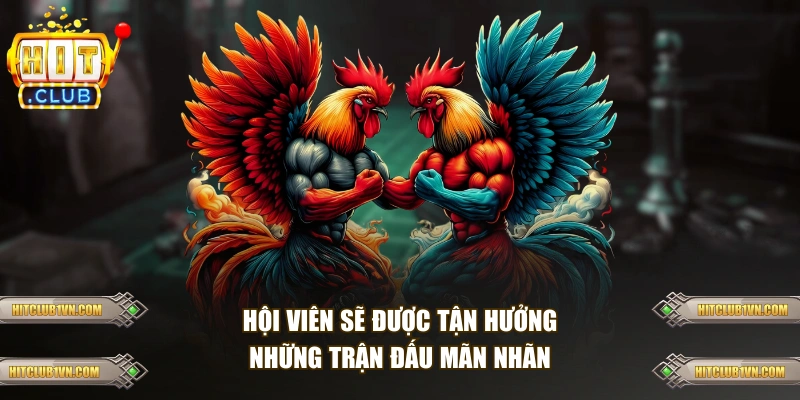 Hội viên sẽ được tận hưởng những trận đấu mãn nhãn