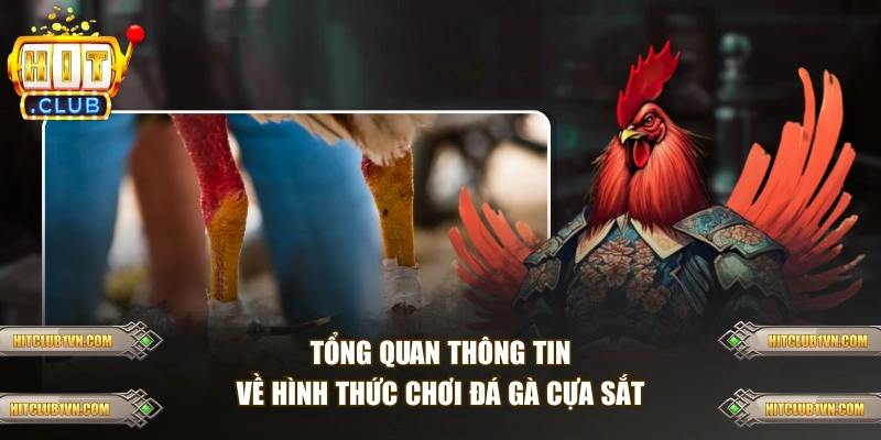 Tổng quan thông tin về hình thức chơi đá gà cựa sắt